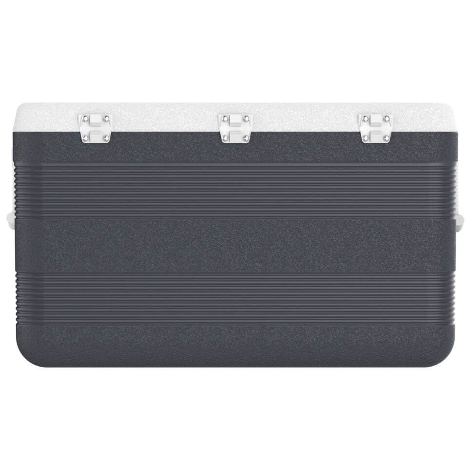 IcePeak CoolCraft 120 Buzluk 113 Litre-FÜME